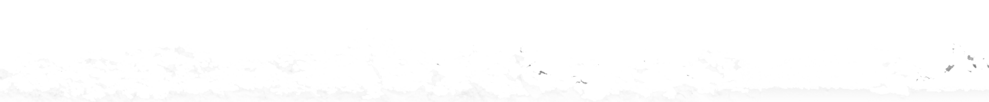Divider